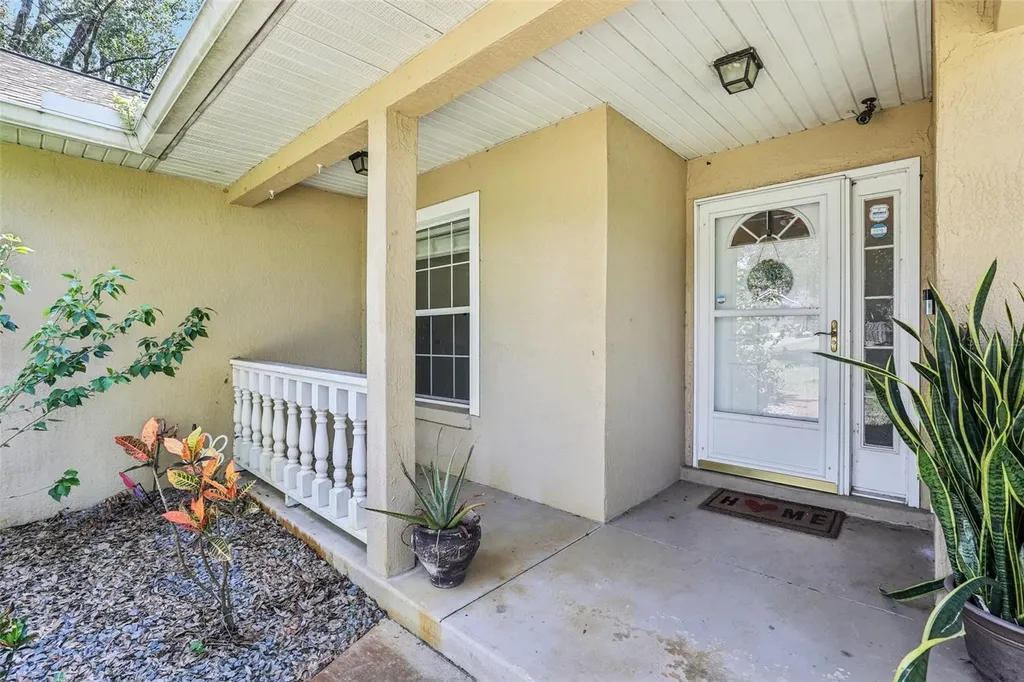 31154 Lochmore Circle Sorrento FL 32776