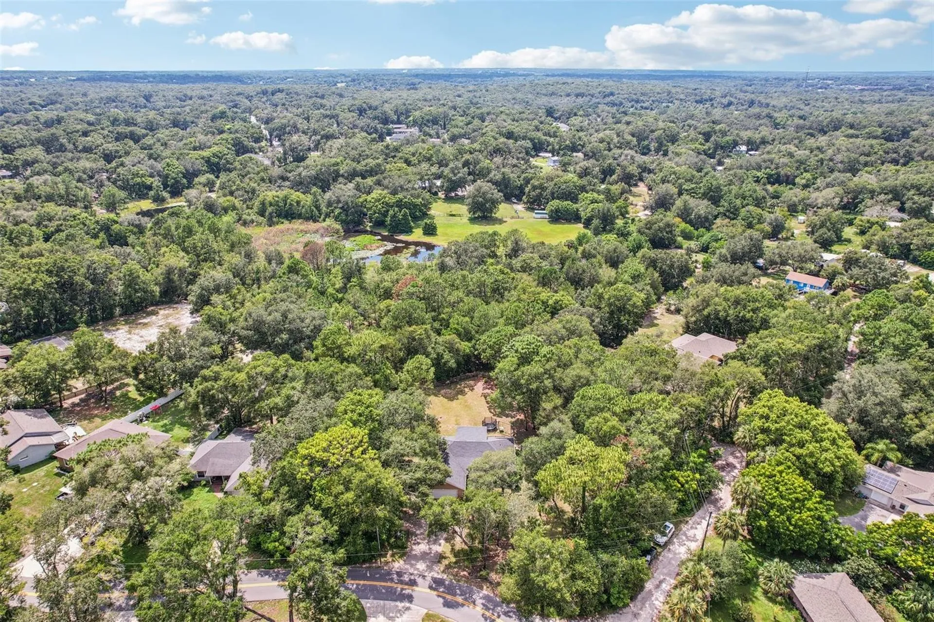 31154 Lochmore Circle Sorrento FL 32776