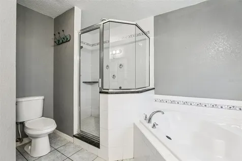 31154 Lochmore Circle Sorrento FL 32776