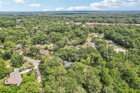 31154 Lochmore Circle Sorrento FL 32776