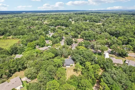 31154 Lochmore Circle Sorrento FL 32776