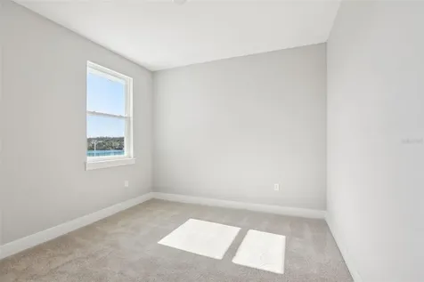 31881 Oyster Pier Court Wesley Chapel FL 33545