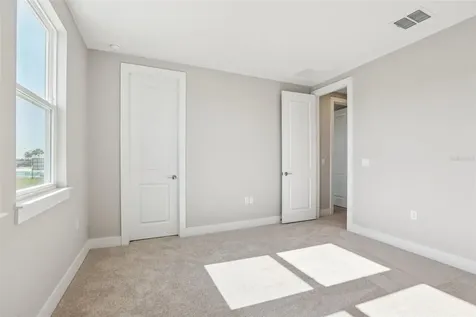 31881 Oyster Pier Court Wesley Chapel FL 33545