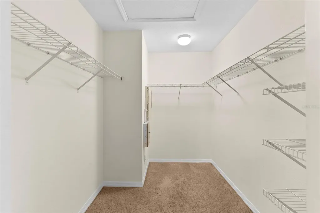 10806 Spring Mountain Place Tampa FL 33626