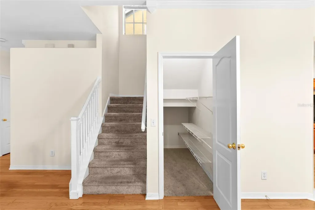 10806 Spring Mountain Place Tampa FL 33626