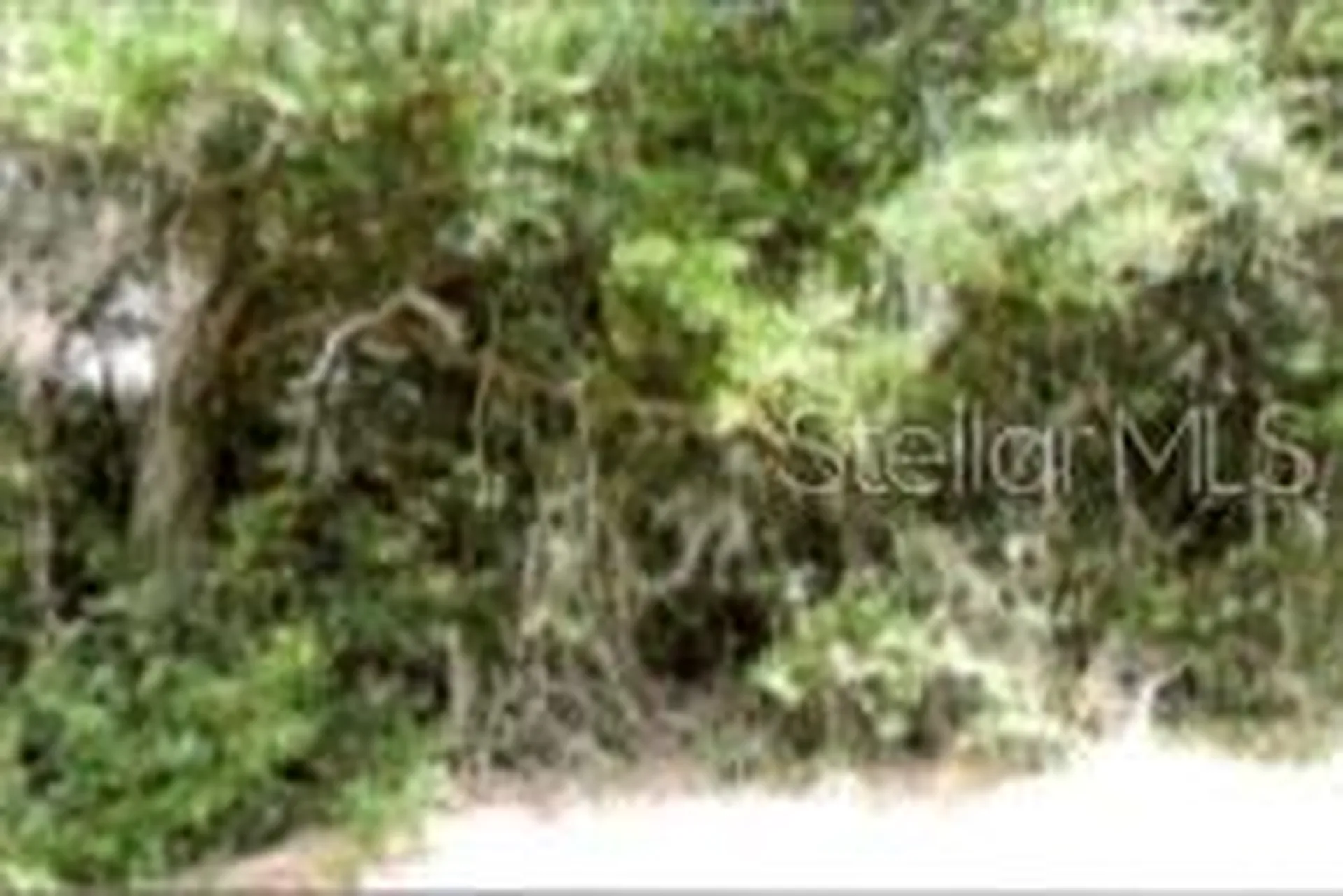12325 & 12303 Stagg Road Winter Garden FL 34787