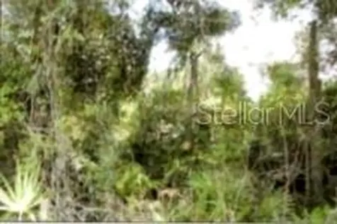 12325 & 12303 Stagg Road Winter Garden FL 34787