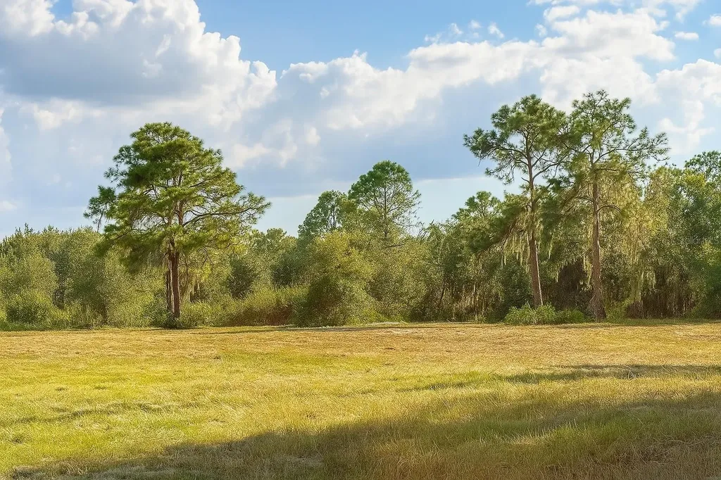 1205-1209 W Alexander Street Plant City FL 33563