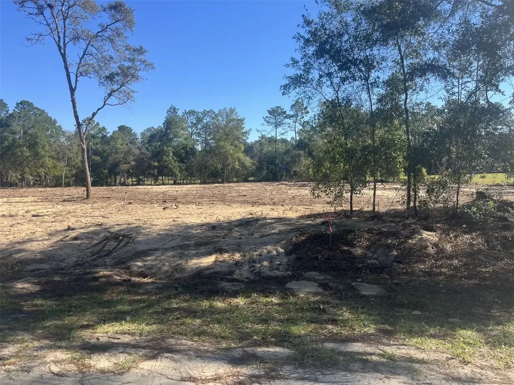 Tbd SW 136 Avenue Ocala FL 34481