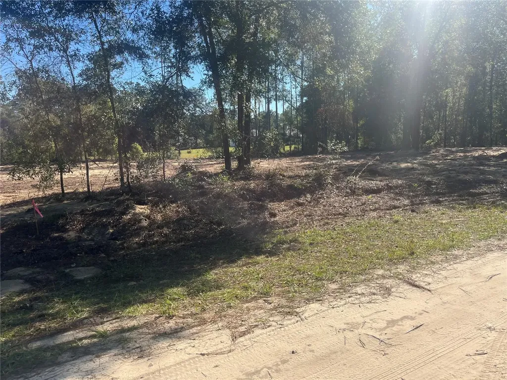 Tbd SW 136 Avenue Ocala FL 34481