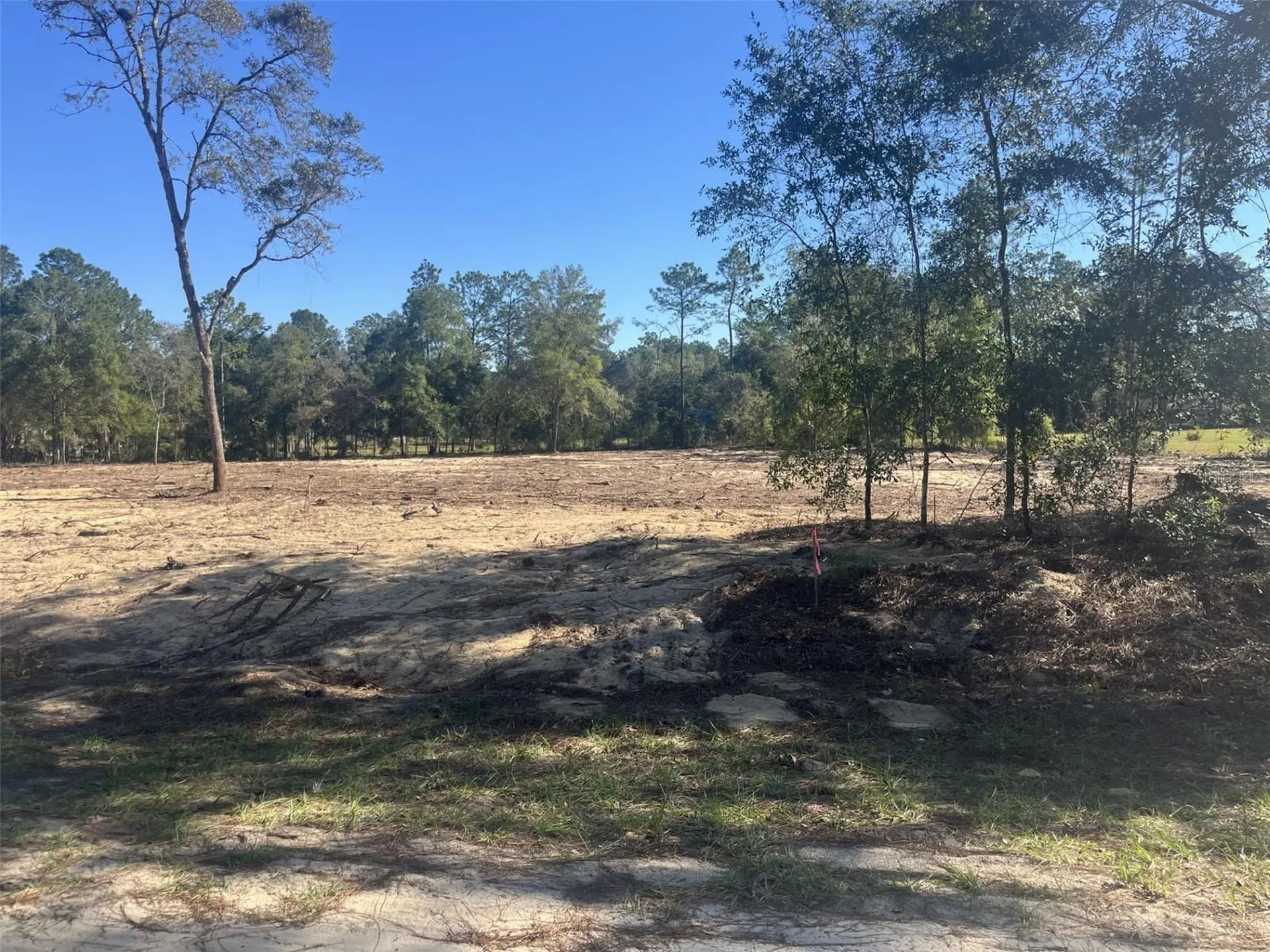 Tbd SW 136 Avenue Ocala FL 34481