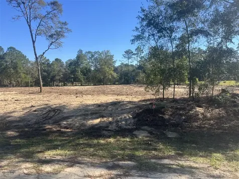 Tbd SW 136 Avenue Ocala FL 34481
