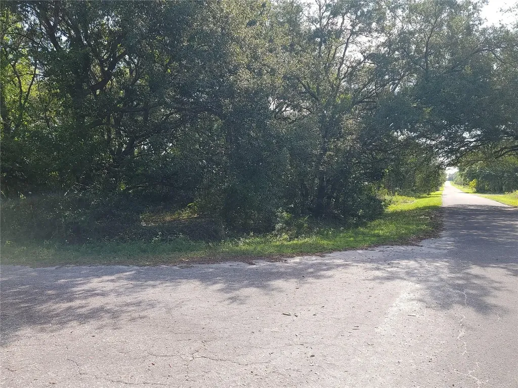 Lot 20 SE Fisher Lane Pass Ocklawaha FL 32179