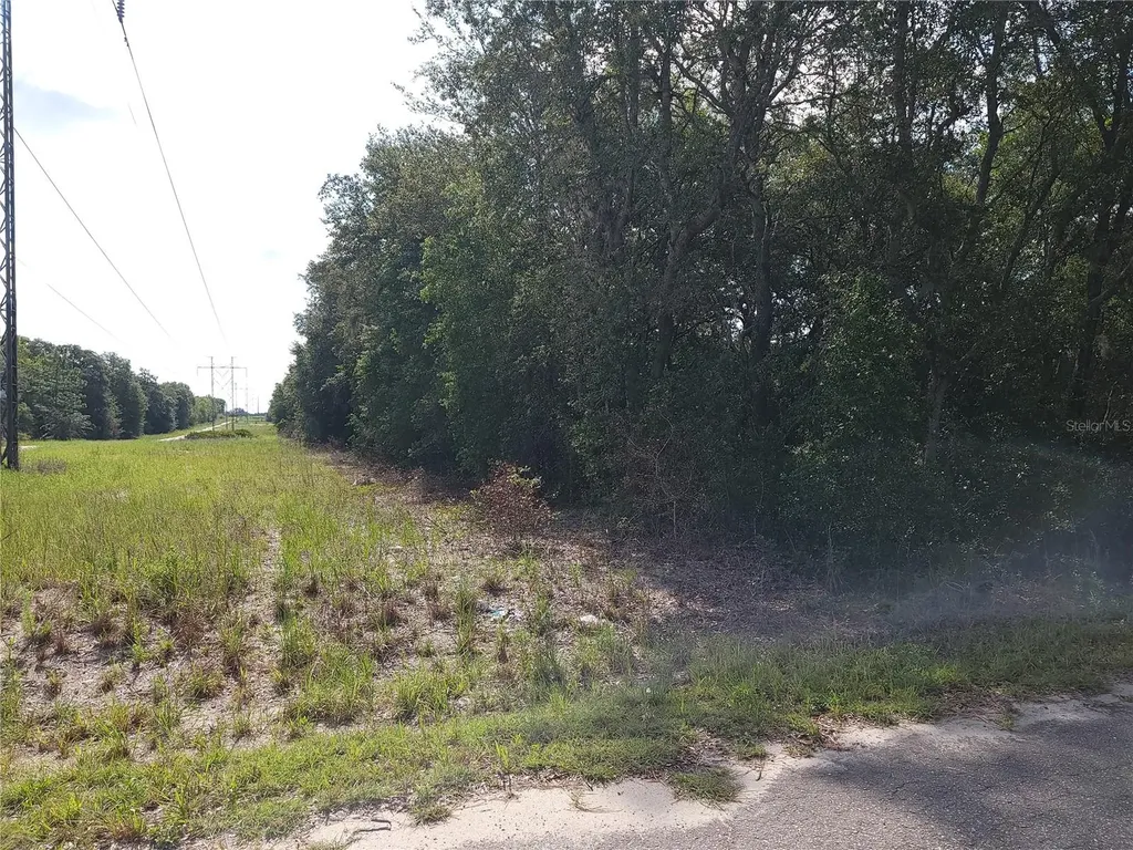 Lot 20 SE Fisher Lane Pass Ocklawaha FL 32179