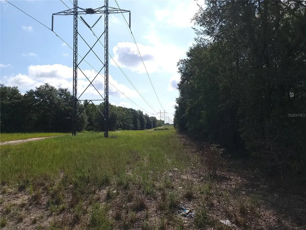 Lot 20 SE Fisher Lane Pass Ocklawaha FL 32179