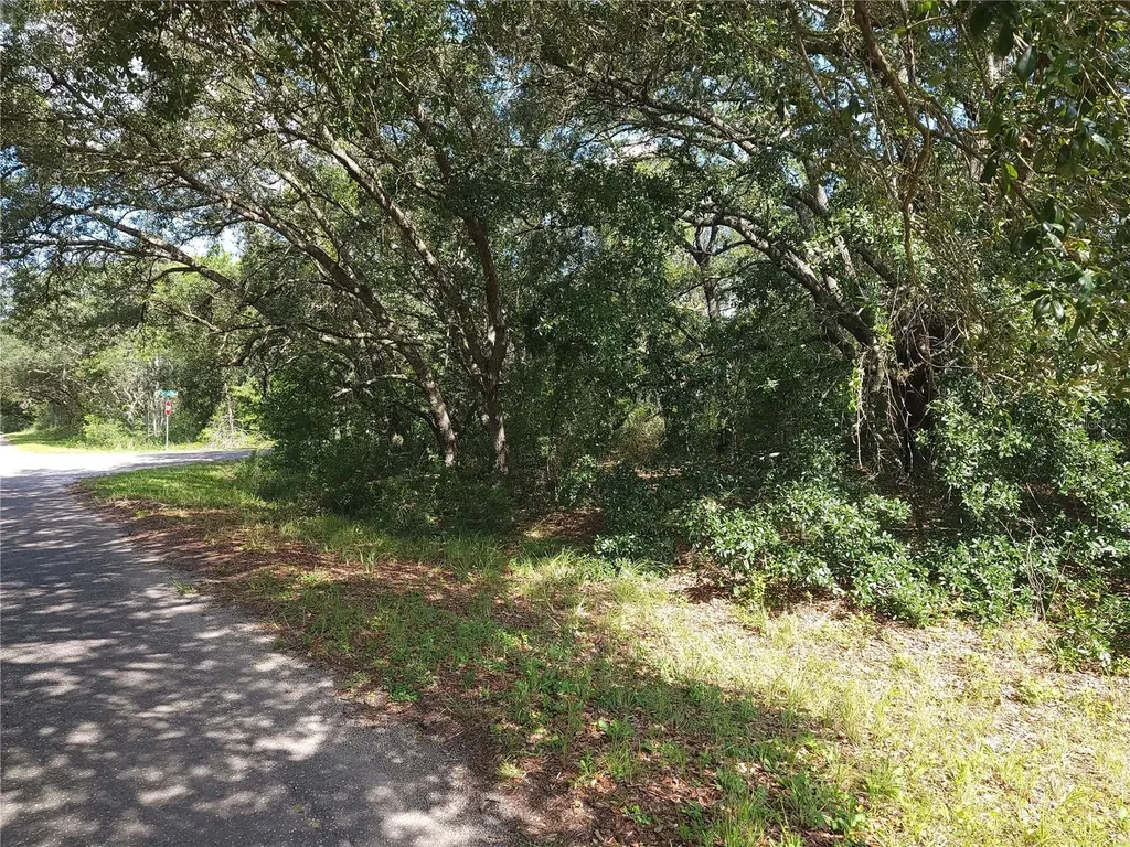 Lot 20 SE Fisher Lane Pass Ocklawaha FL 32179