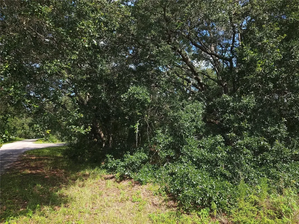 Lot 20 SE Fisher Lane Pass Ocklawaha FL 32179