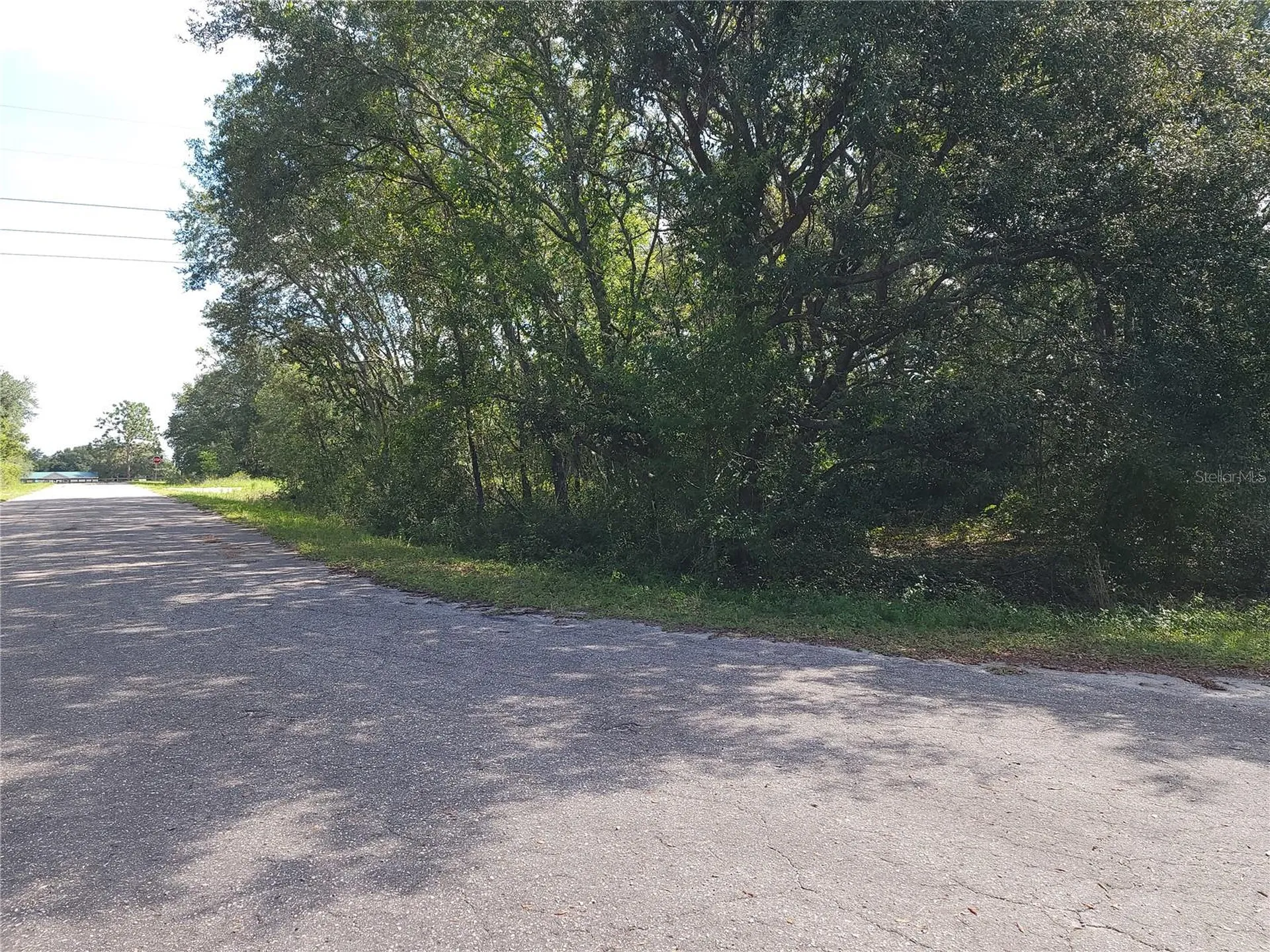 Lot 20 SE Fisher Lane Pass Ocklawaha FL 32179