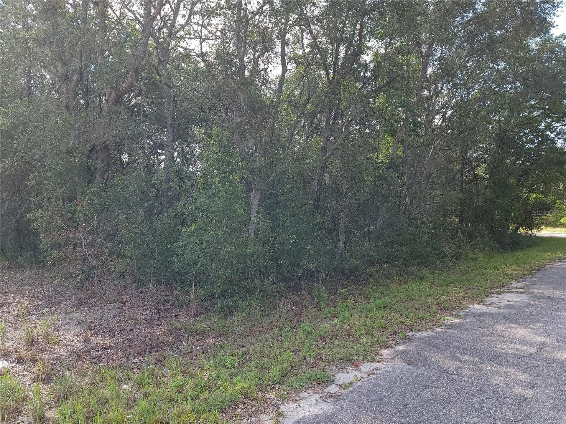 Lot 20 SE Fisher Lane Pass Ocklawaha FL 32179