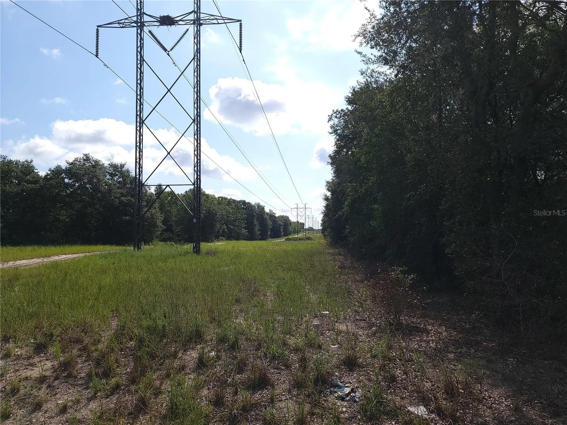 Lot 20 SE Fisher Lane Pass Ocklawaha FL 32179