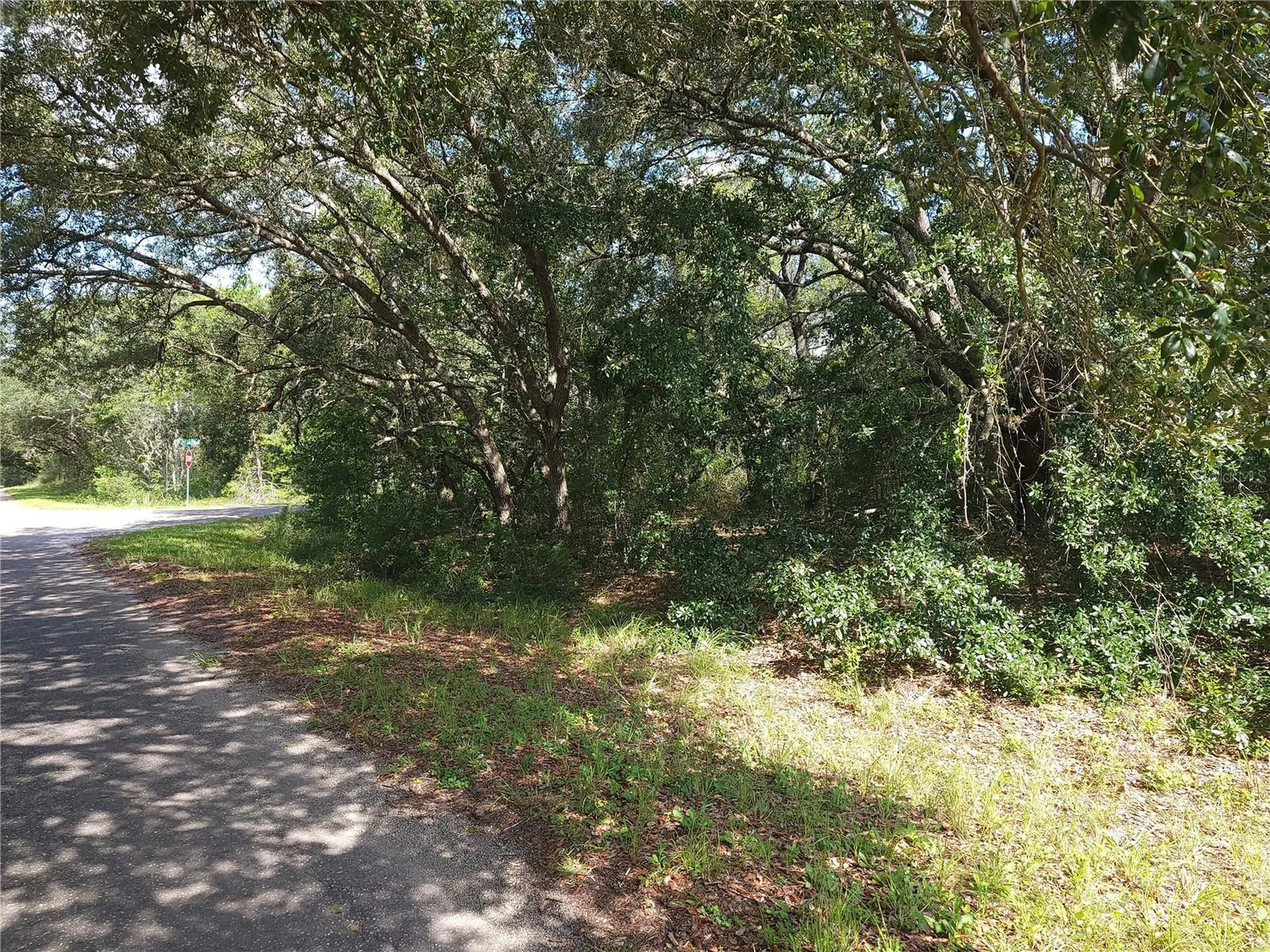 Lot 20 SE Fisher Lane Pass Ocklawaha FL 32179