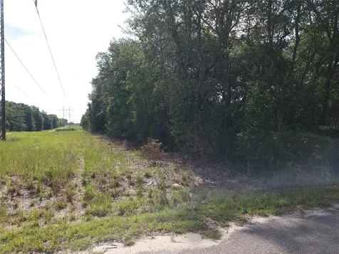 Lot 20 SE Fisher Lane Pass Ocklawaha FL 32179
