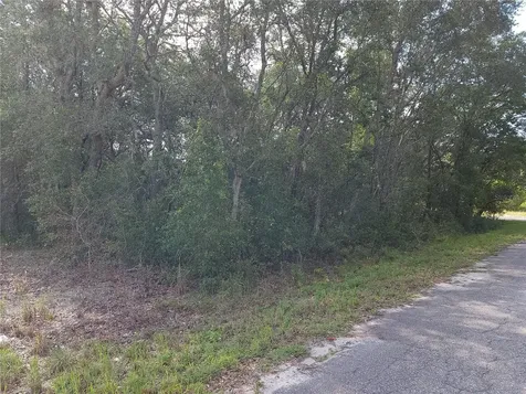Lot 20 SE Fisher Lane Pass Ocklawaha FL 32179