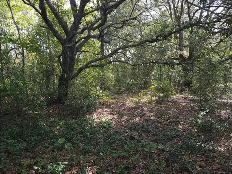 Lot 20 SE Fisher Lane Pass Ocklawaha FL 32179