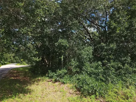 Lot 20 SE Fisher Lane Pass Ocklawaha FL 32179