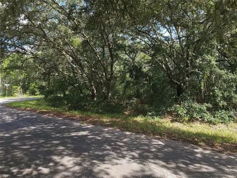 Lot 20 SE Fisher Lane Pass Ocklawaha FL 32179