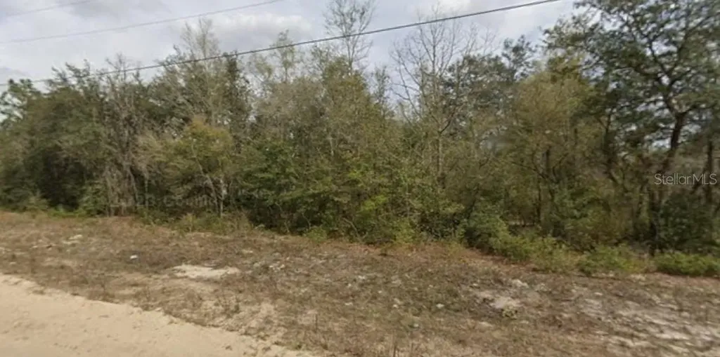 Janet Avenue Interlachen FL 32148