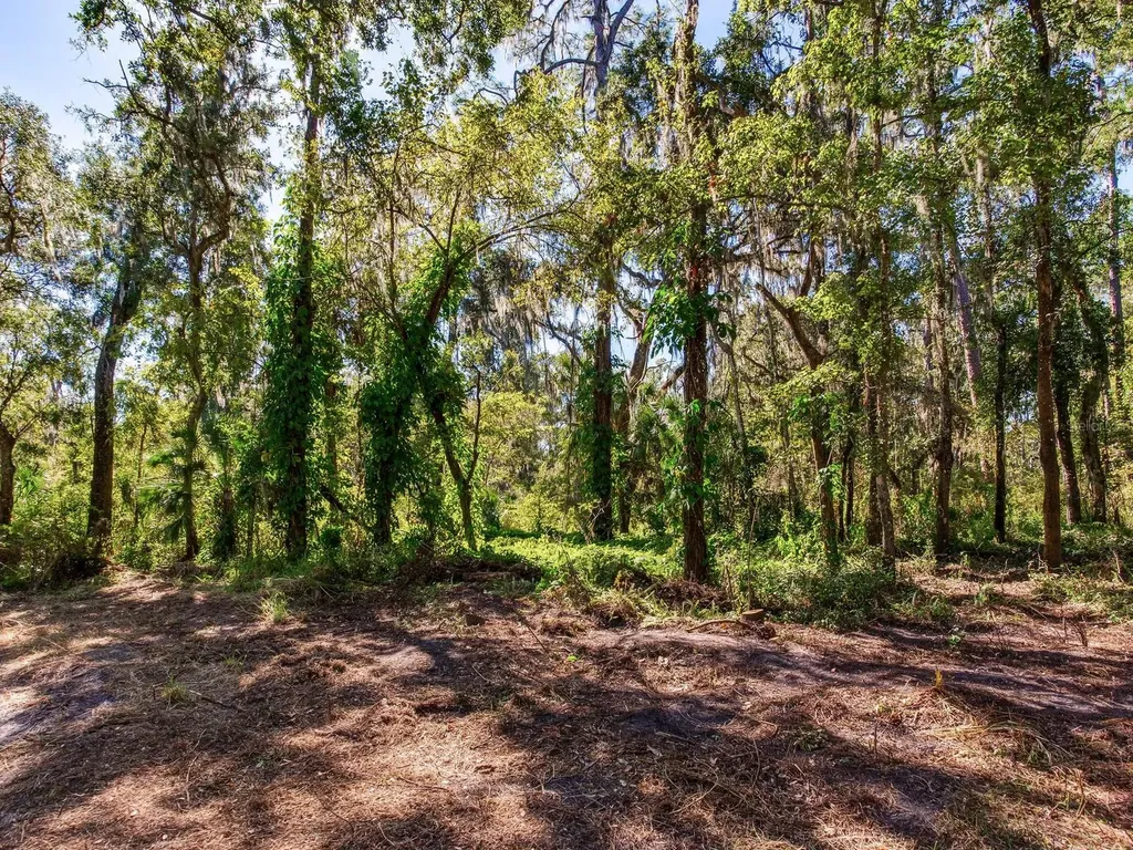 Drawdy Road Plant City FL 33567