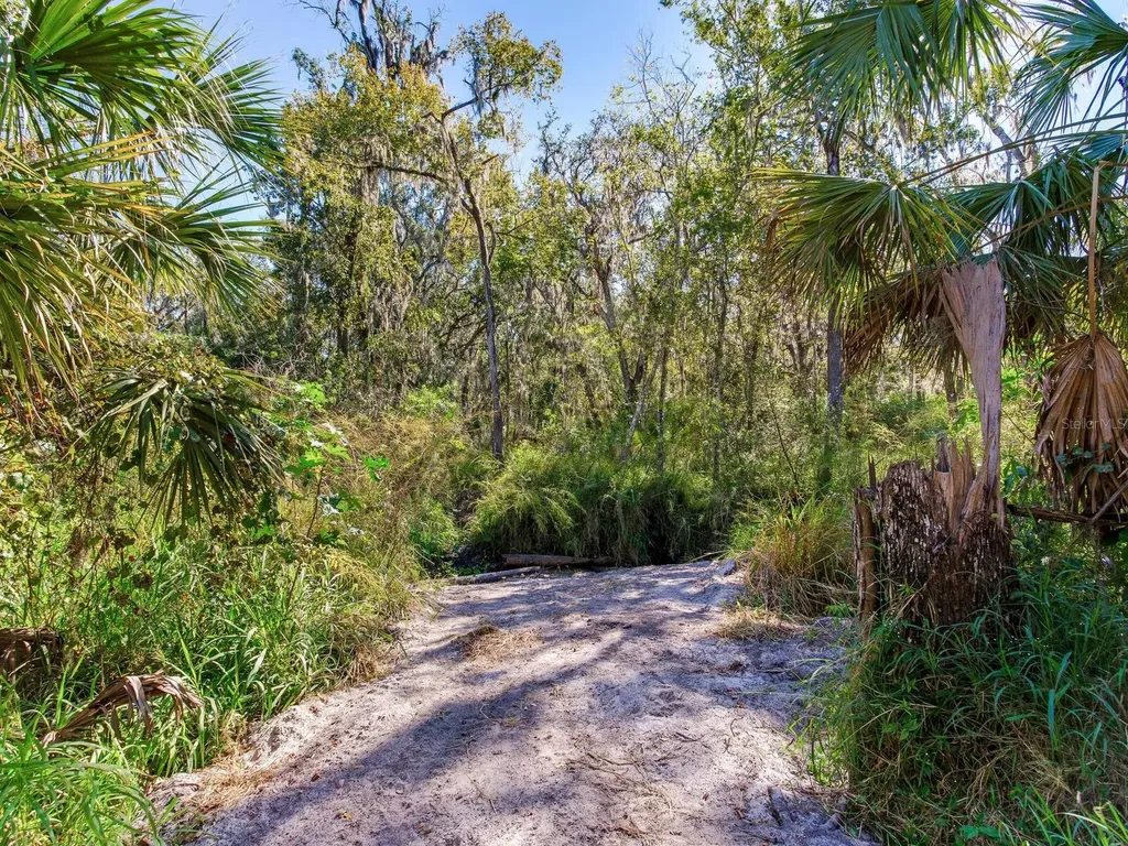 Drawdy Road Plant City FL 33567
