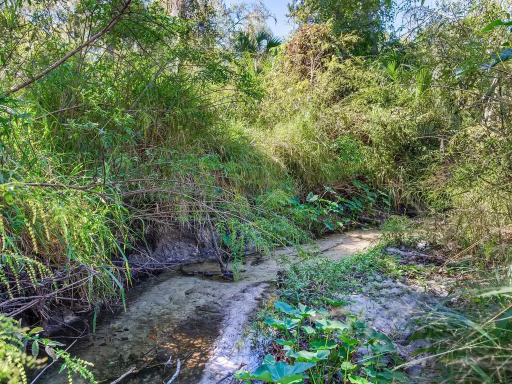 Drawdy Road Plant City FL 33567