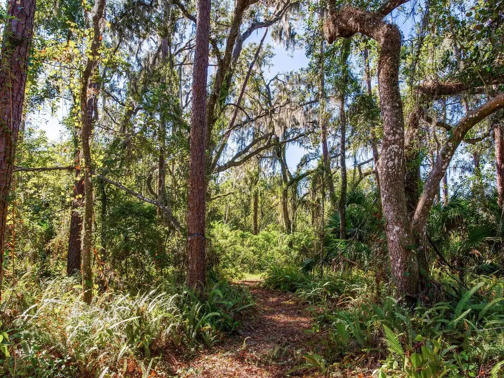 Drawdy Road Plant City FL 33567