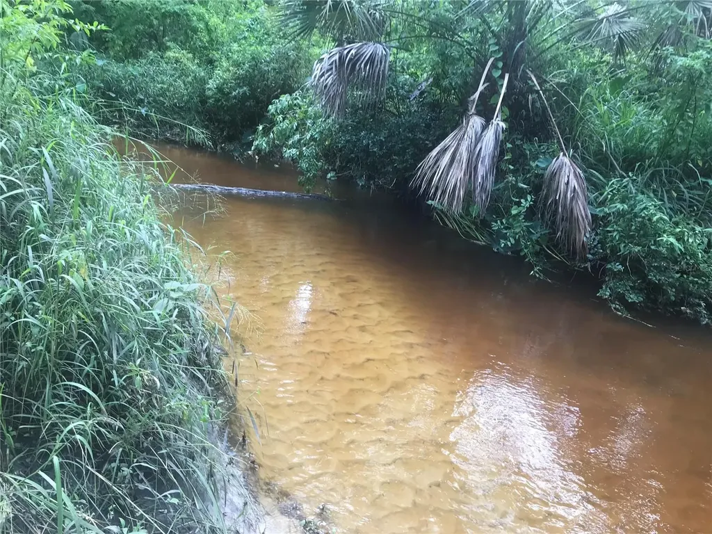 Drawdy Road Plant City FL 33567