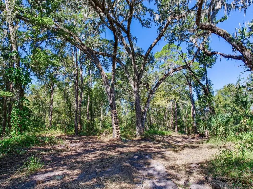 Drawdy Road Plant City FL 33567