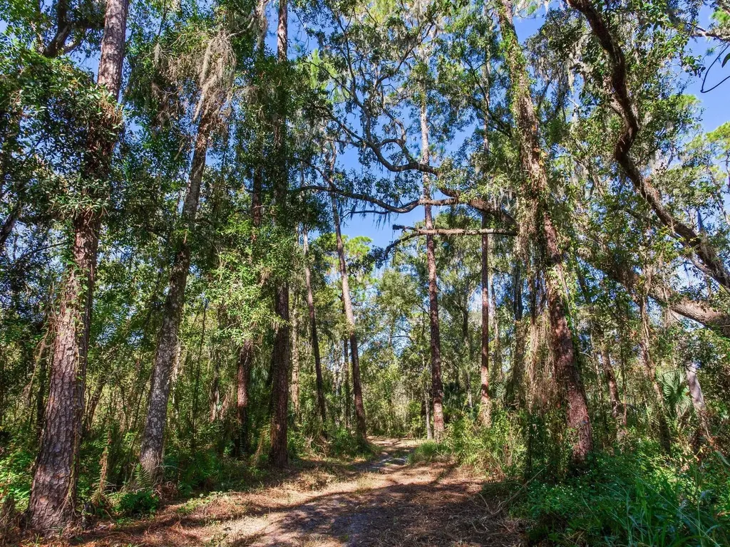 Drawdy Road Plant City FL 33567
