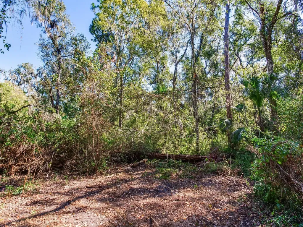 Drawdy Road Plant City FL 33567