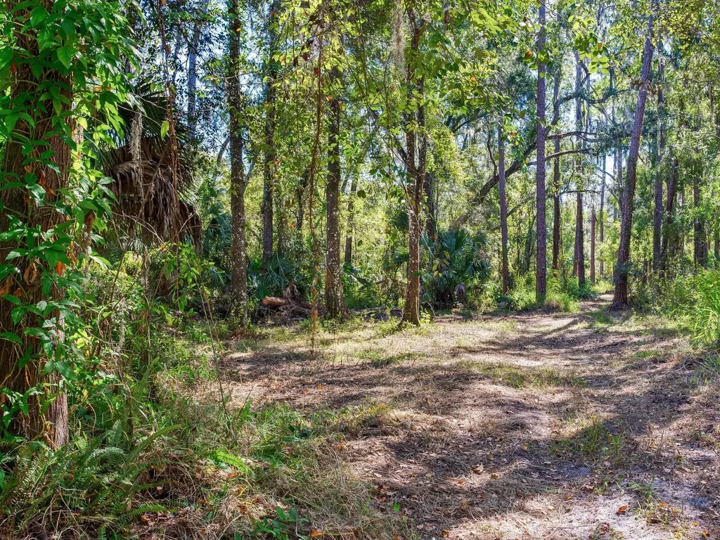 Drawdy Road Plant City FL 33567