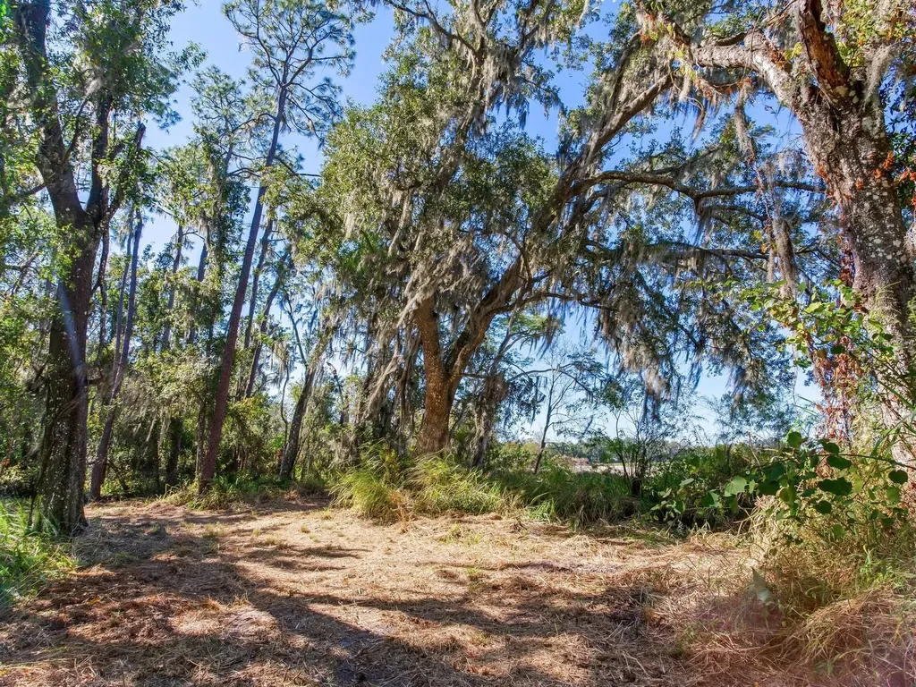 Drawdy Road Plant City FL 33567