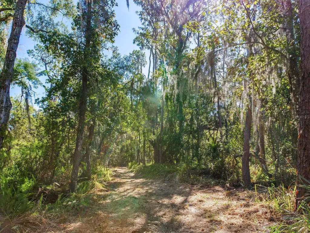Drawdy Road Plant City FL 33567