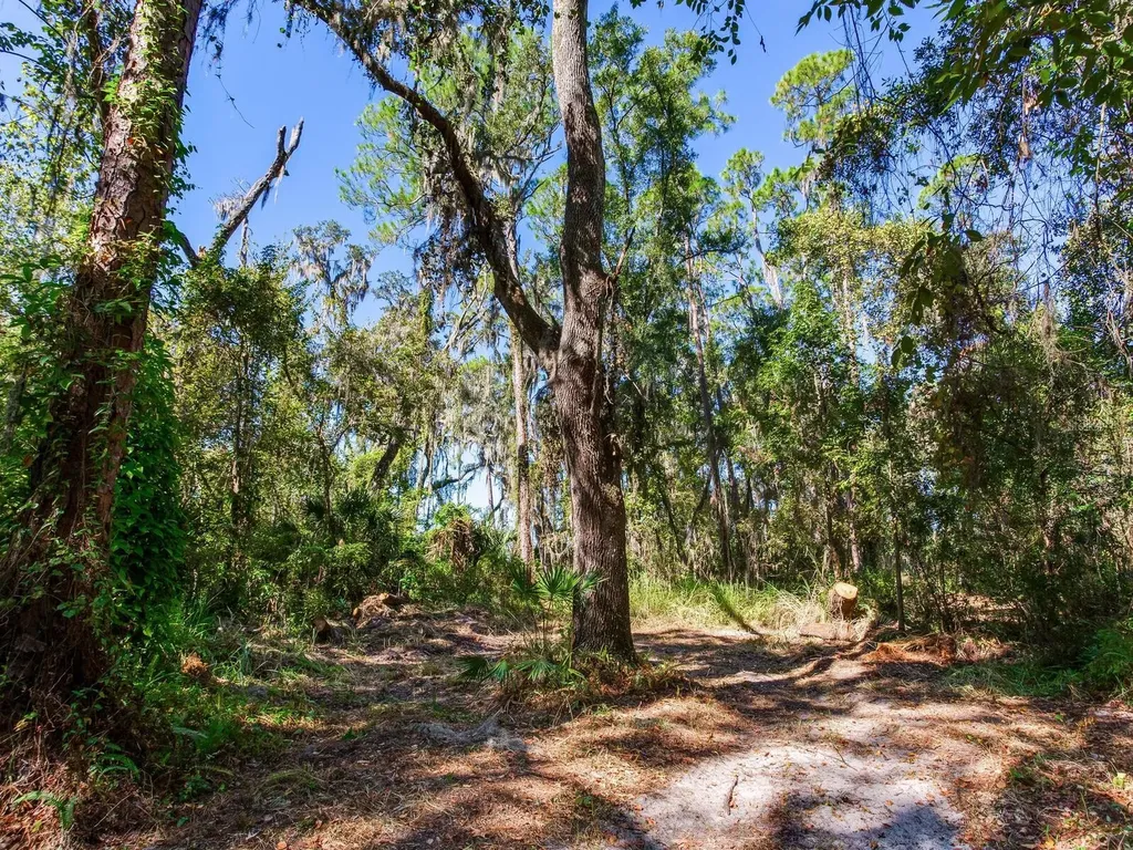 Drawdy Road Plant City FL 33567