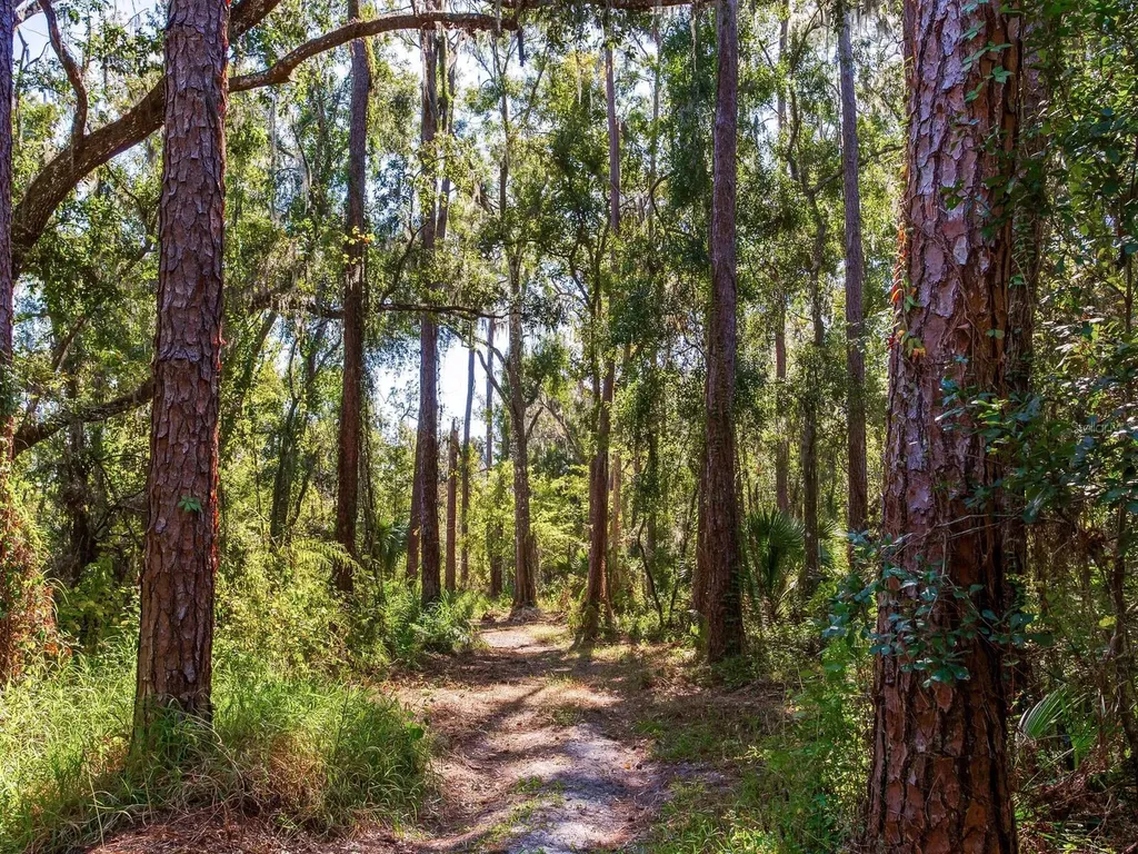 Drawdy Road Plant City FL 33567