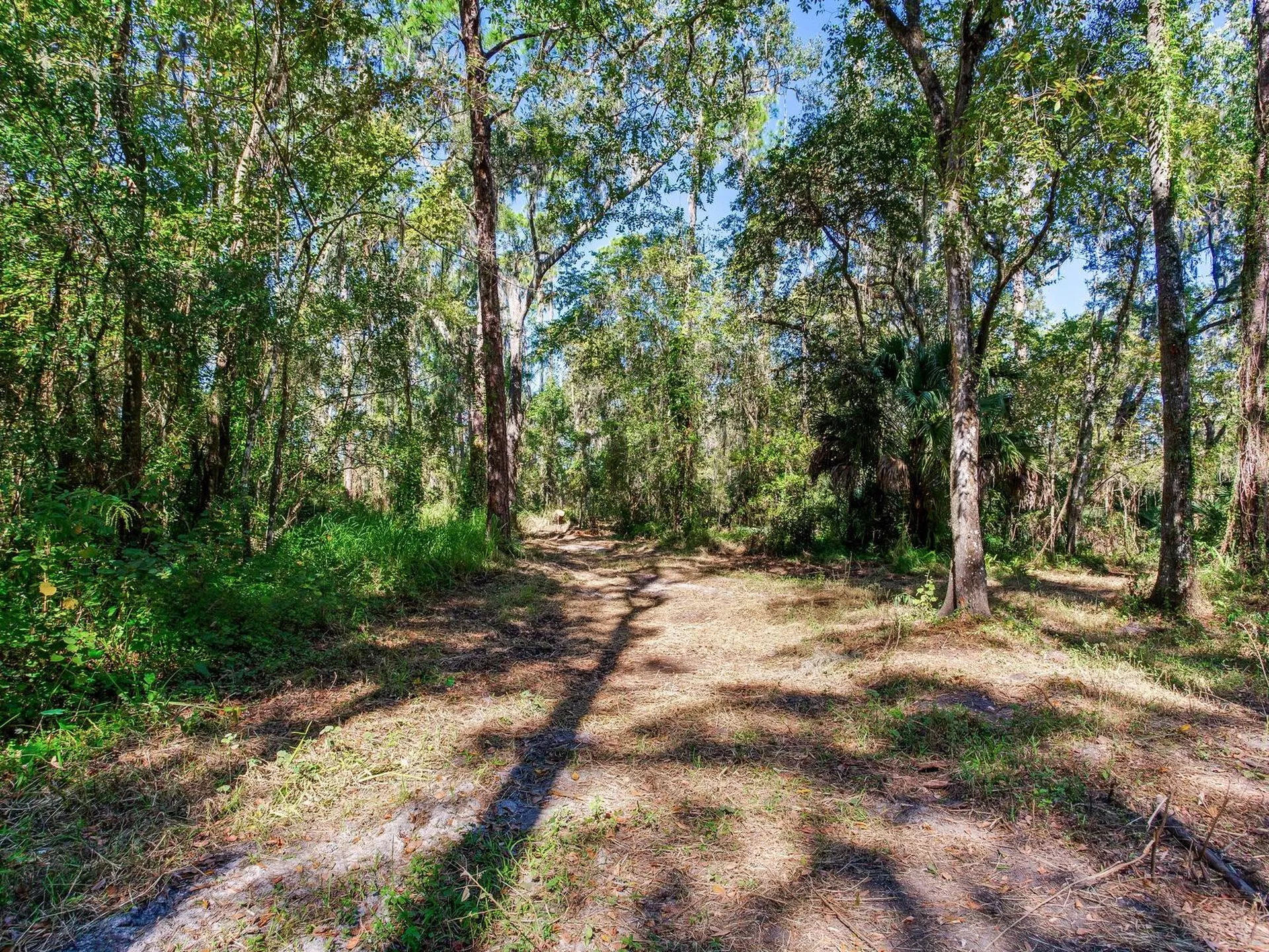 Drawdy Road Plant City FL 33567