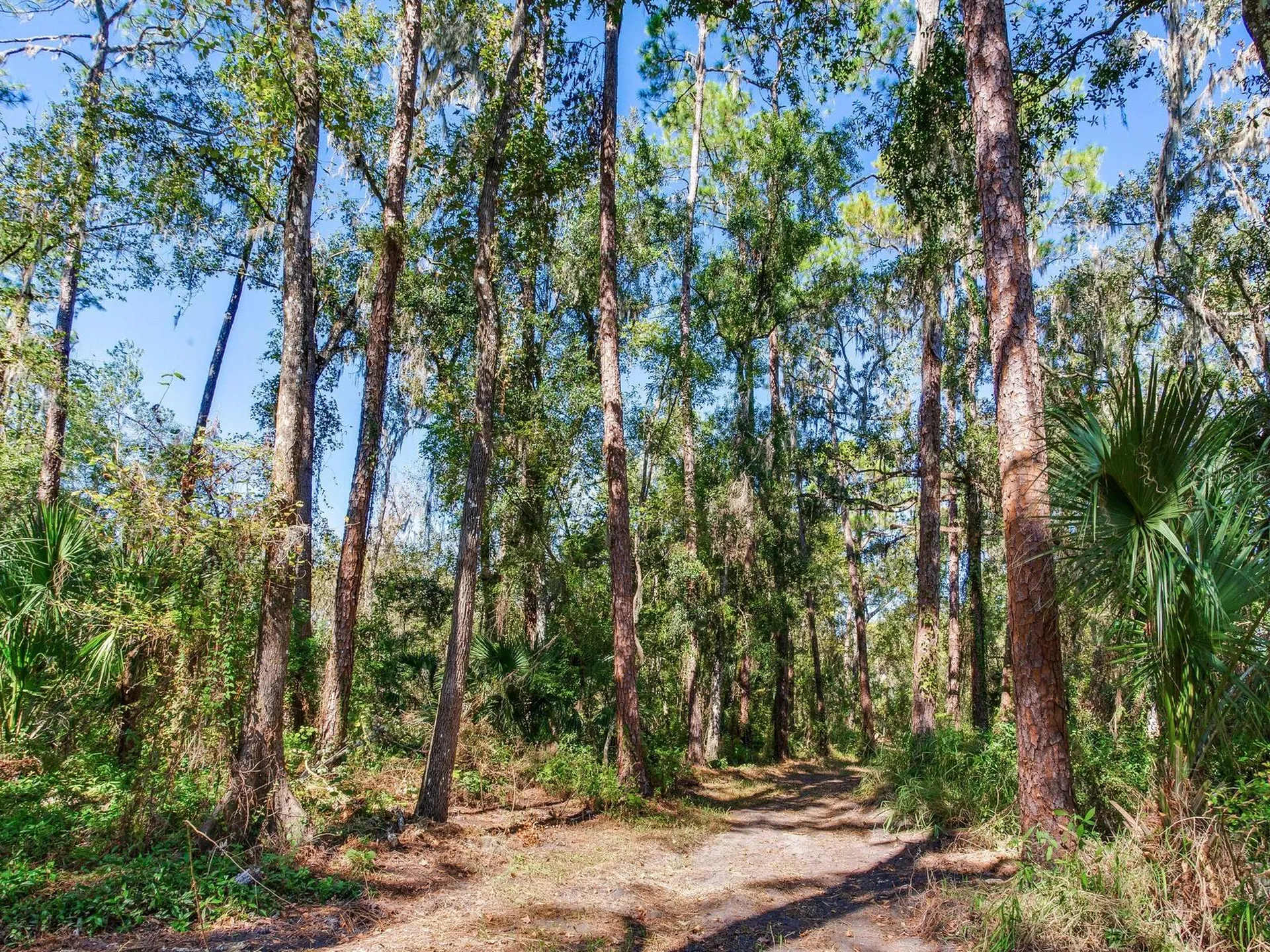 Drawdy Road Plant City FL 33567