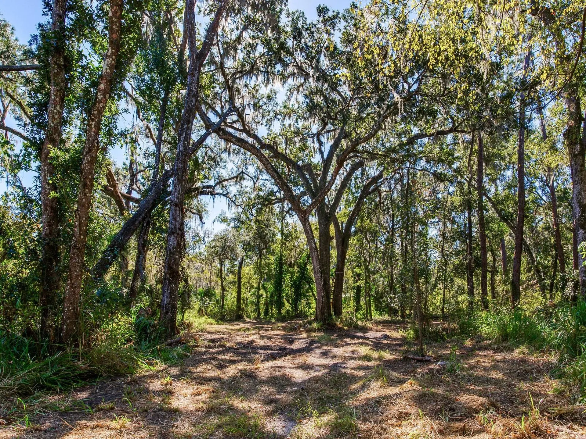 Drawdy Road Plant City FL 33567