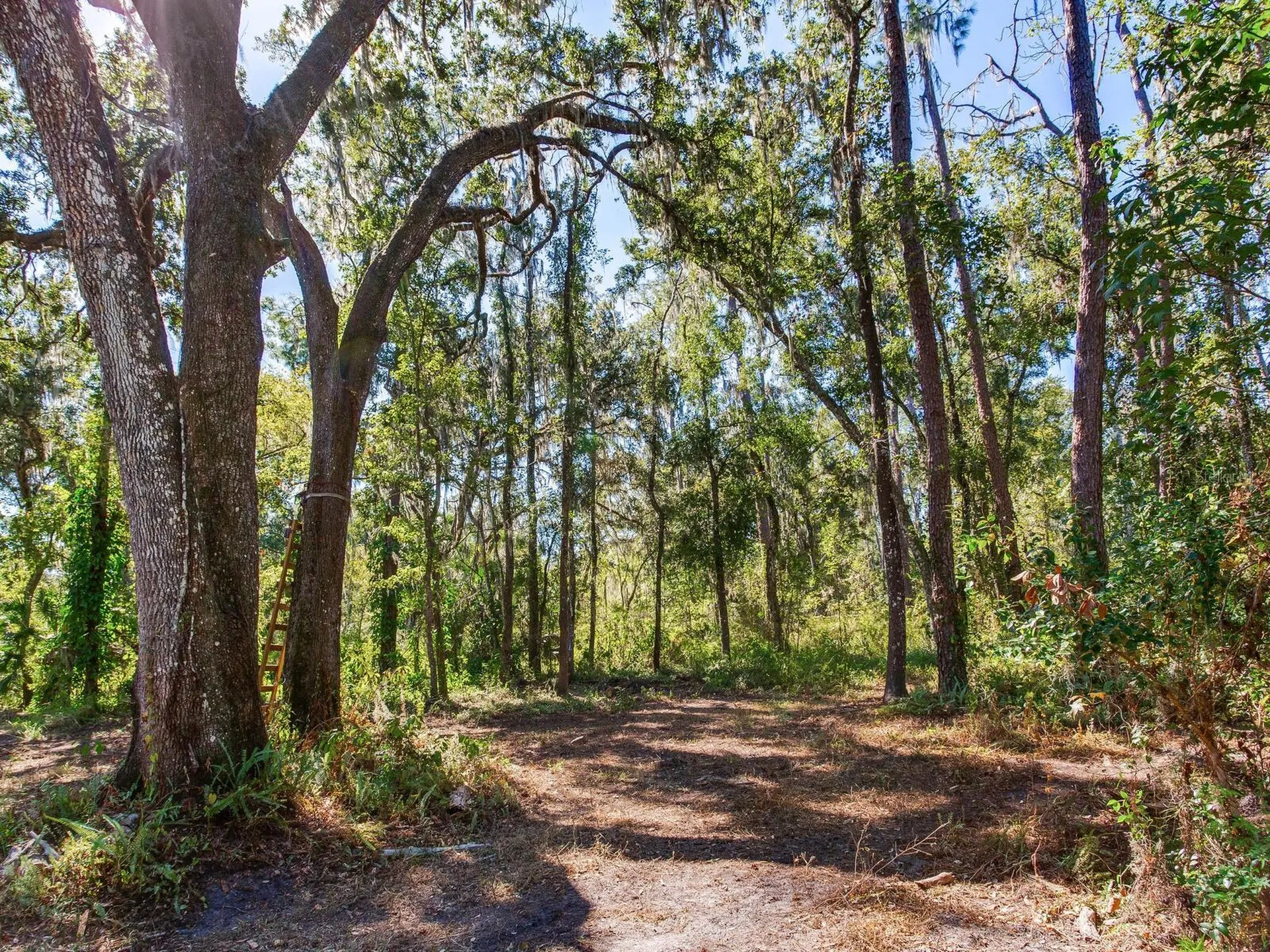 Drawdy Road Plant City FL 33567