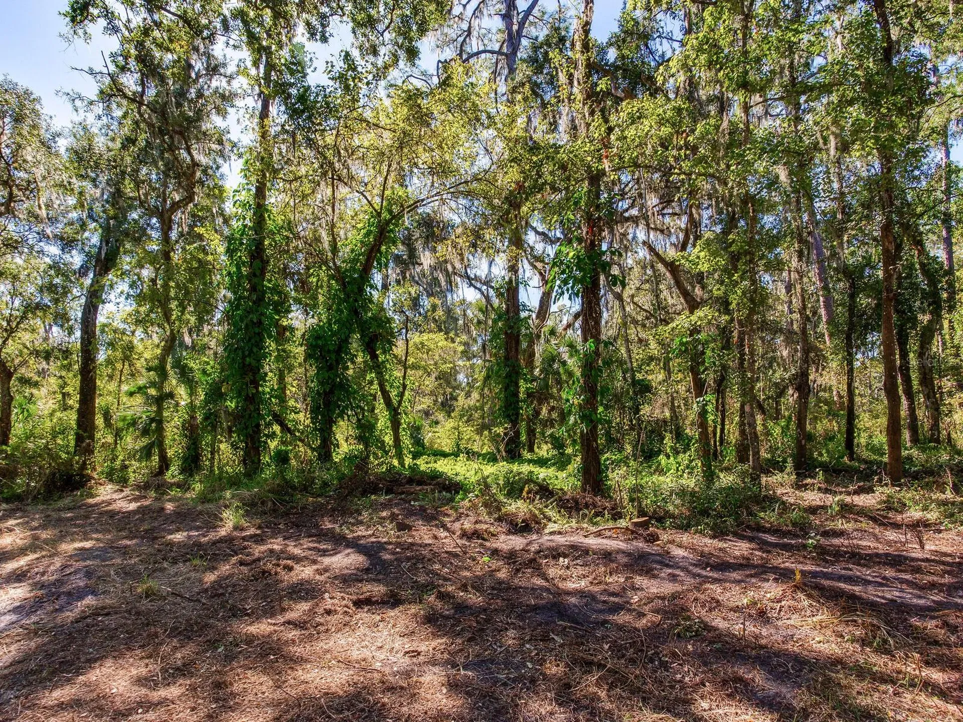 Drawdy Road Plant City FL 33567