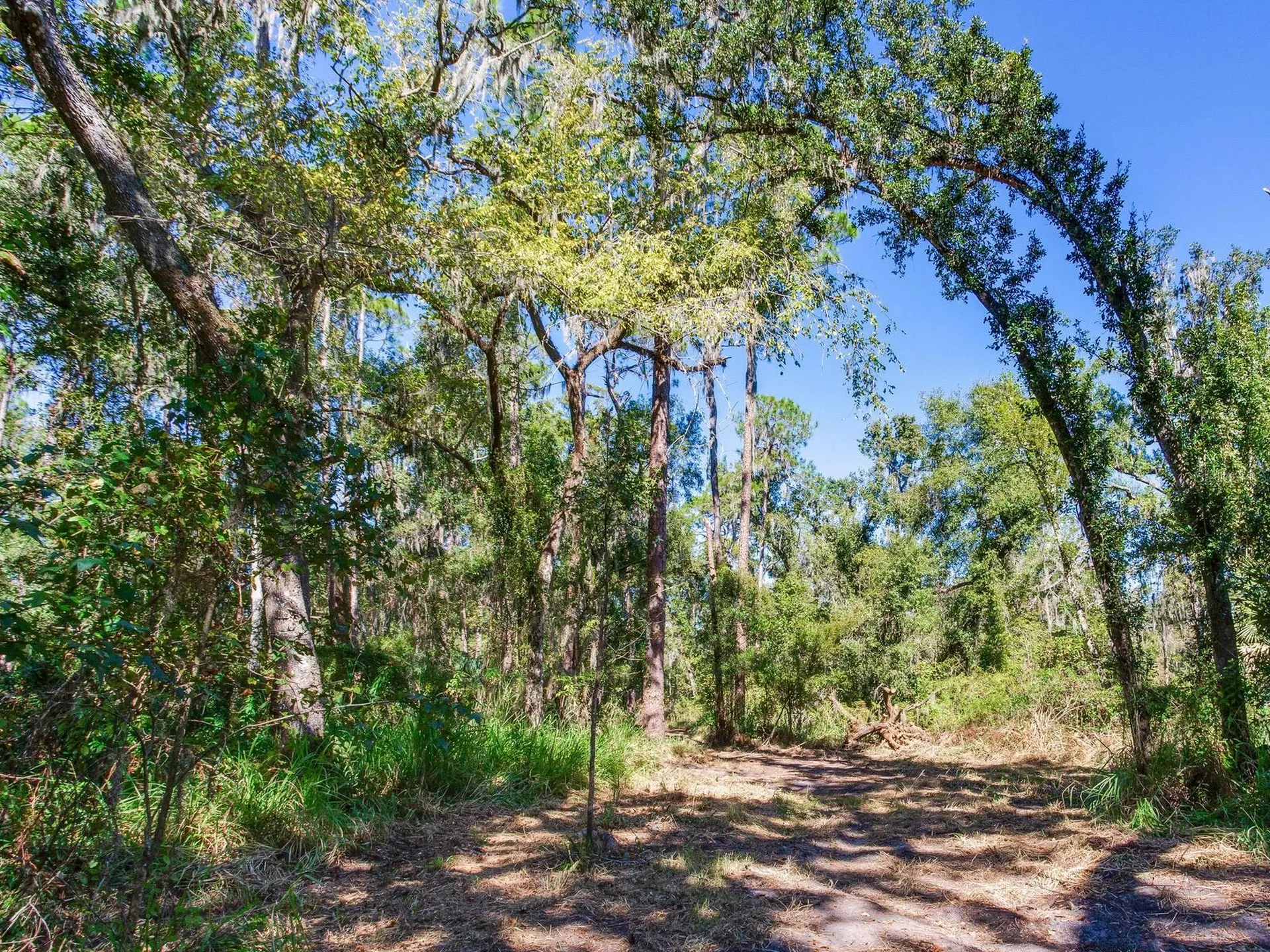 Drawdy Road Plant City FL 33567